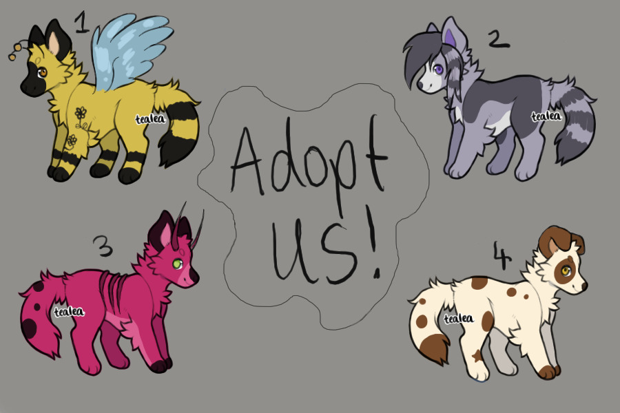 DOG ADOPTS AVAILABLE