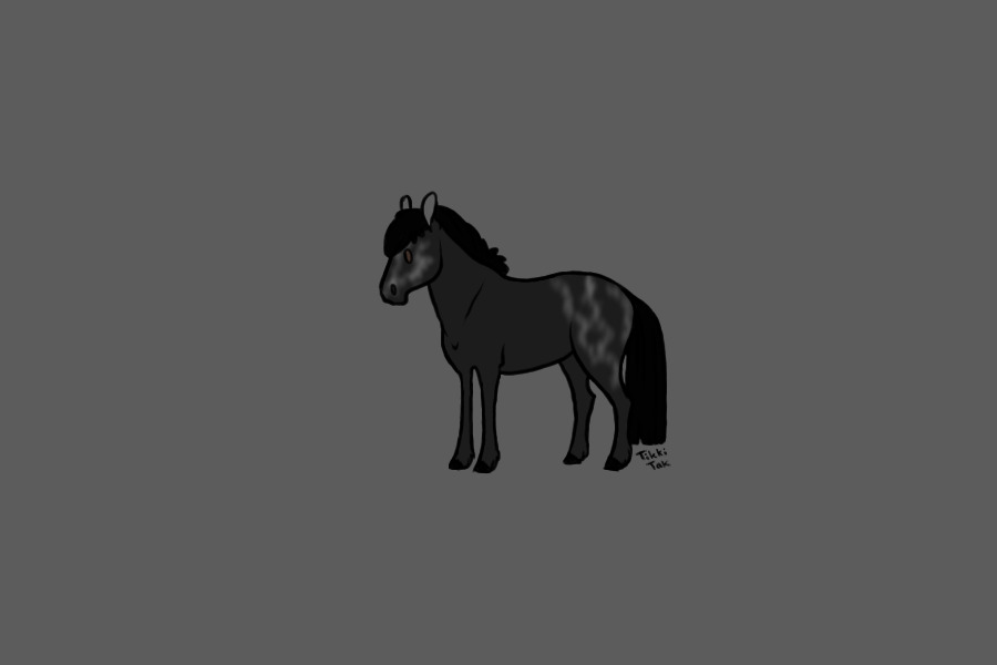 Sold Horse To Zeli ~