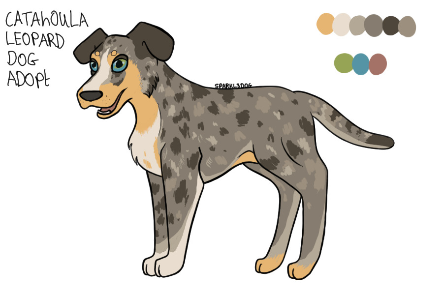 Catahoula leopard dog adopt [AVAILABLE]
