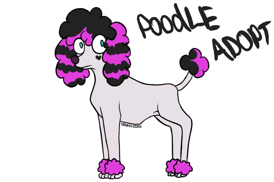 Poodle adopt [CLAIMED]