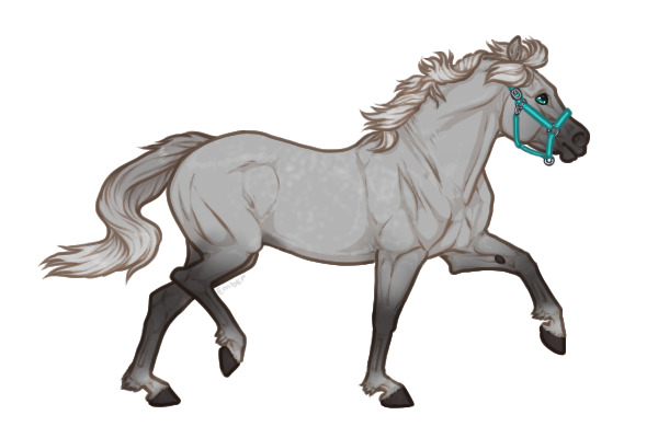 Ferox Welsh Pony #036