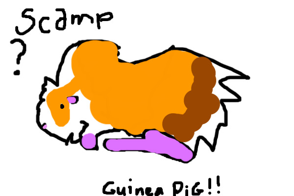 Guinea pig?