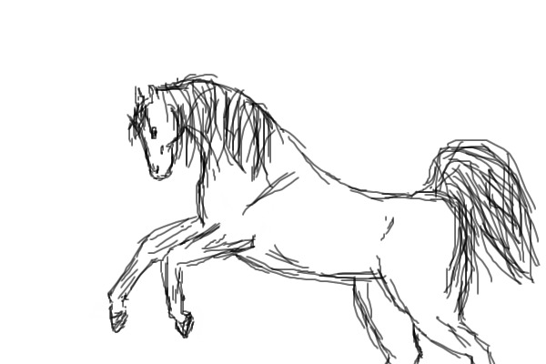 rearing horse