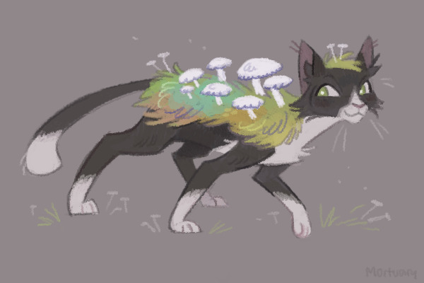 Fungus cat