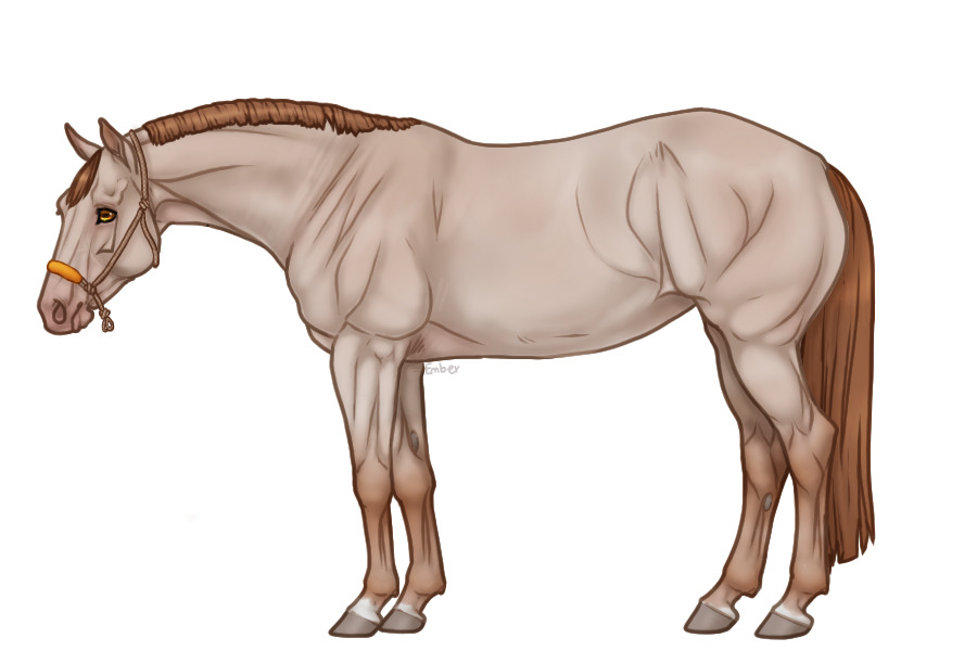 Palisade Roping Horse #096