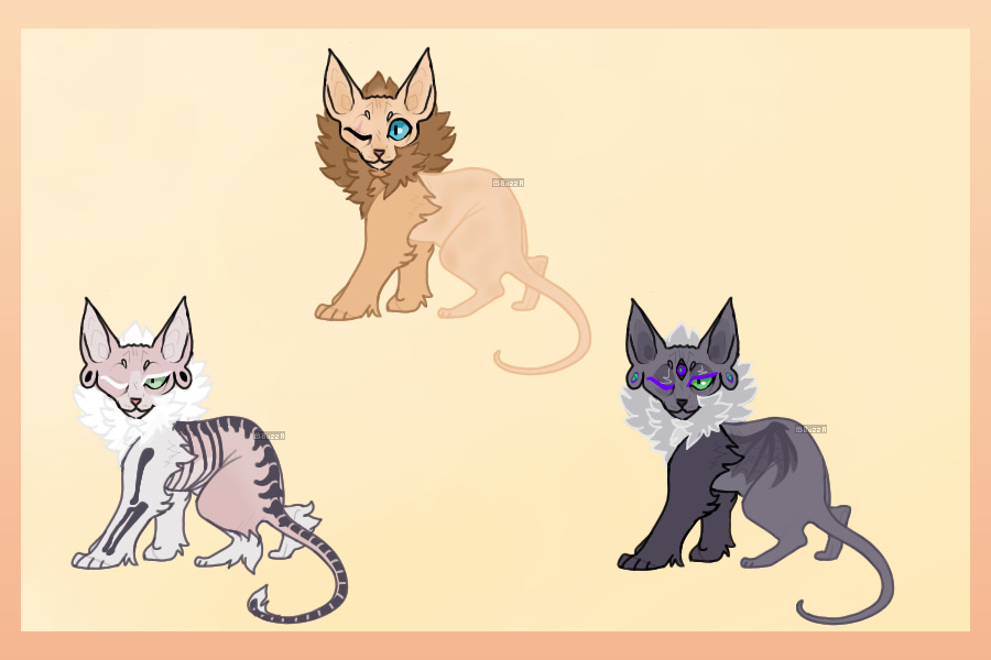 donskoy adopts