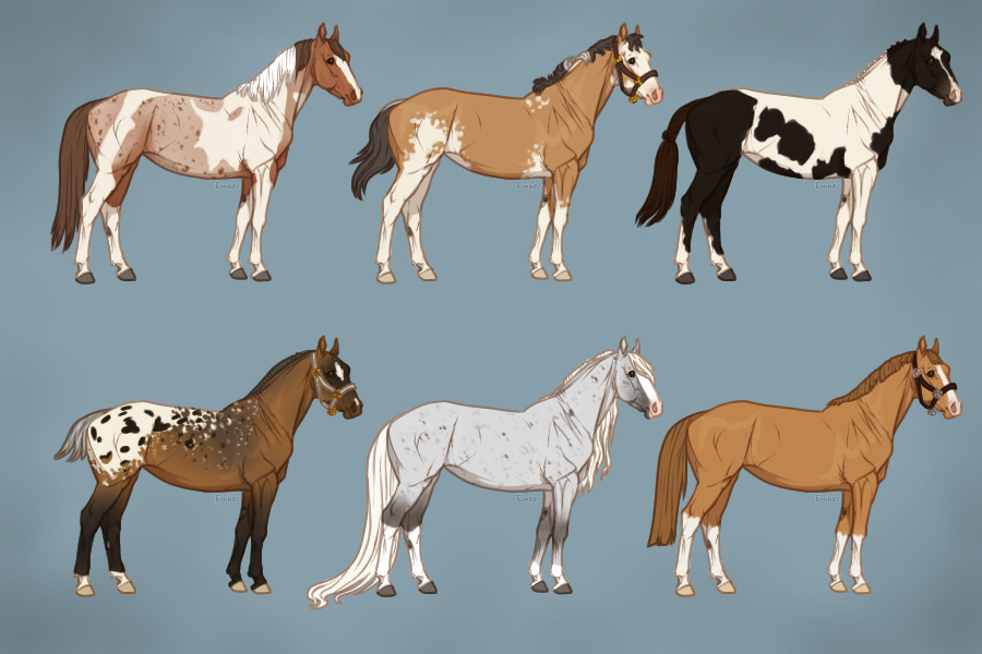 Horse Adoptables