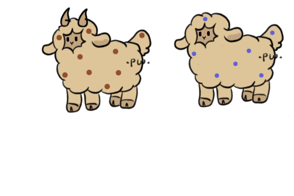 muffin sheep!