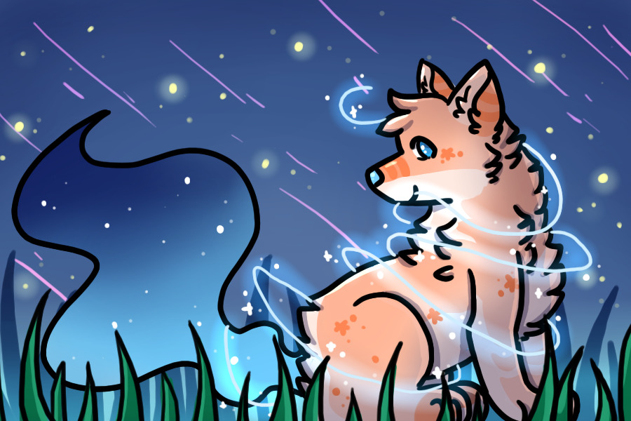 thicc lines and stars