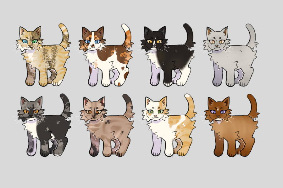 OTA cat adopts 6/8