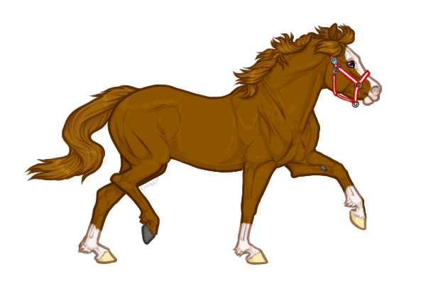 Ferox Welsh Pony #042