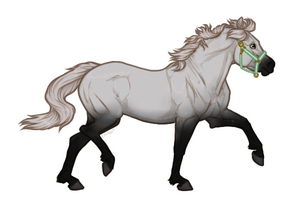 Ferox Welsh Pony #043