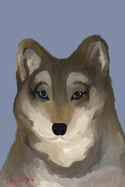 The wolf - wip