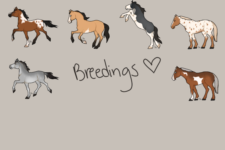 Free Horse Breedings