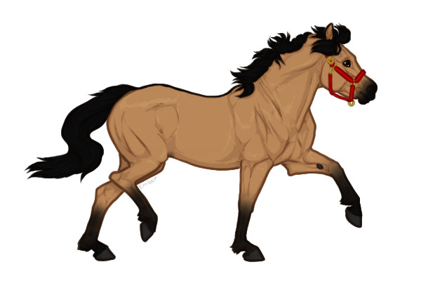 Ferox Welsh Pony #044