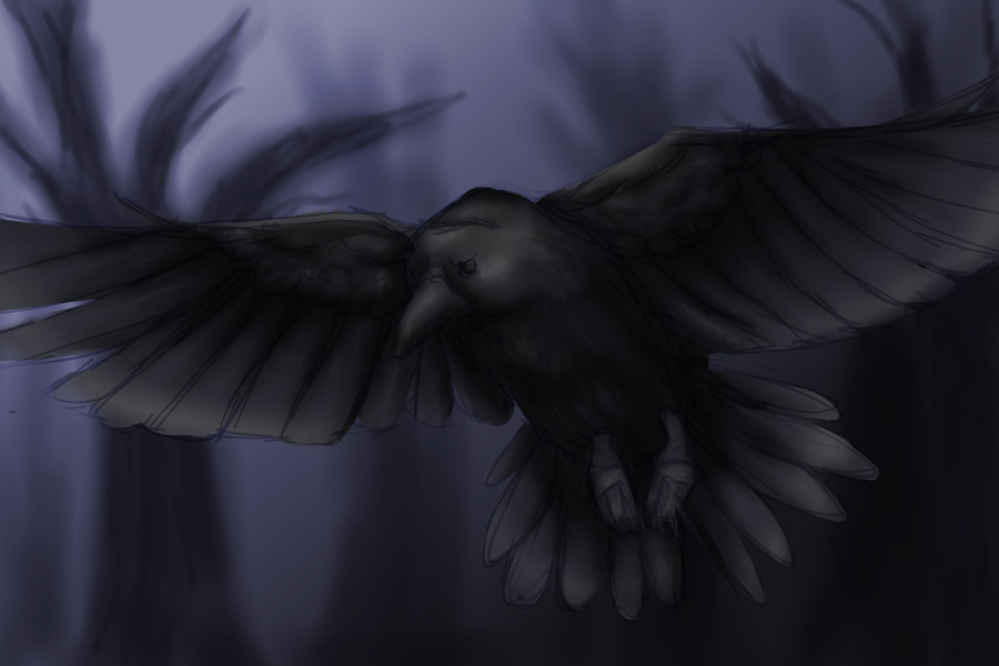 in bereft land, the raven flies