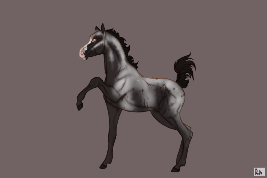 Neteru Shadow Walkers - Foal #1
