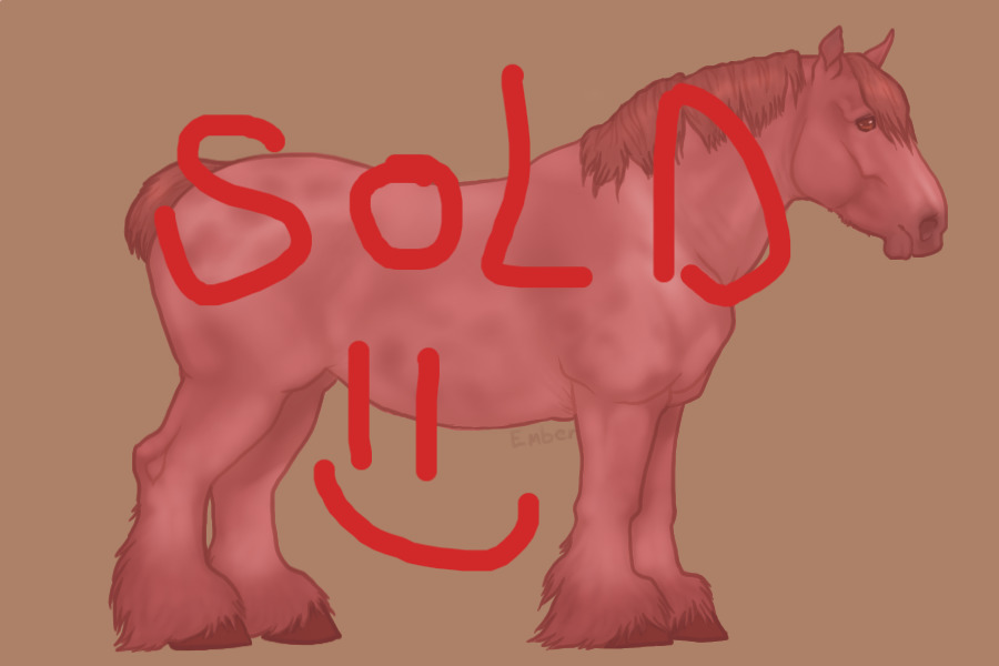 SOLD STRAWBERRY ROAN