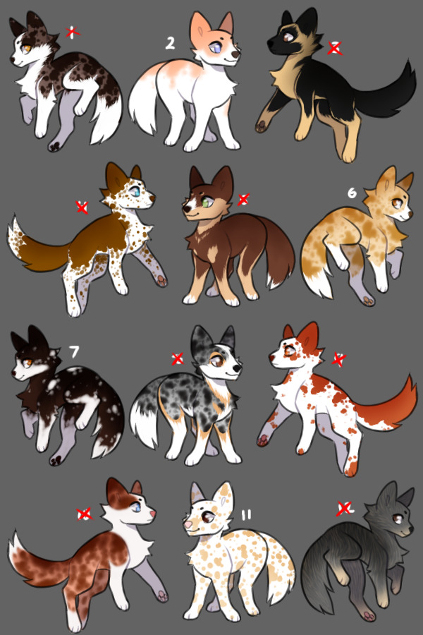 (Closed (Now Flatsale!) Puppies