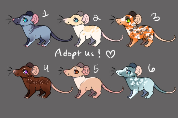 🐀 Rat Adopts (4/6 Open) Set price