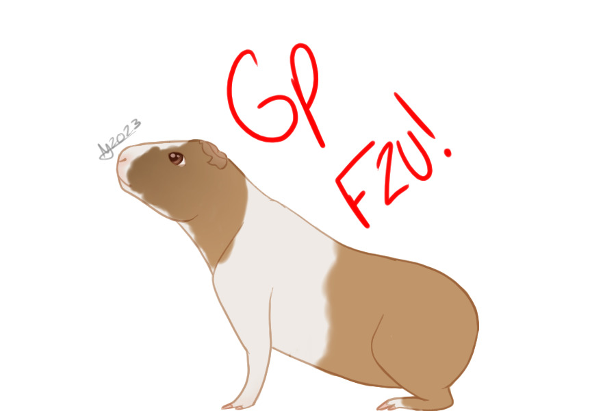 Guinea Pig F2U!