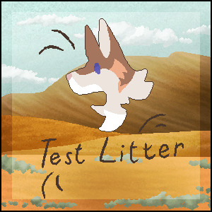 ☀Pixel Coyotes | Test litter