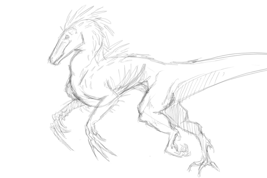 megaraptor