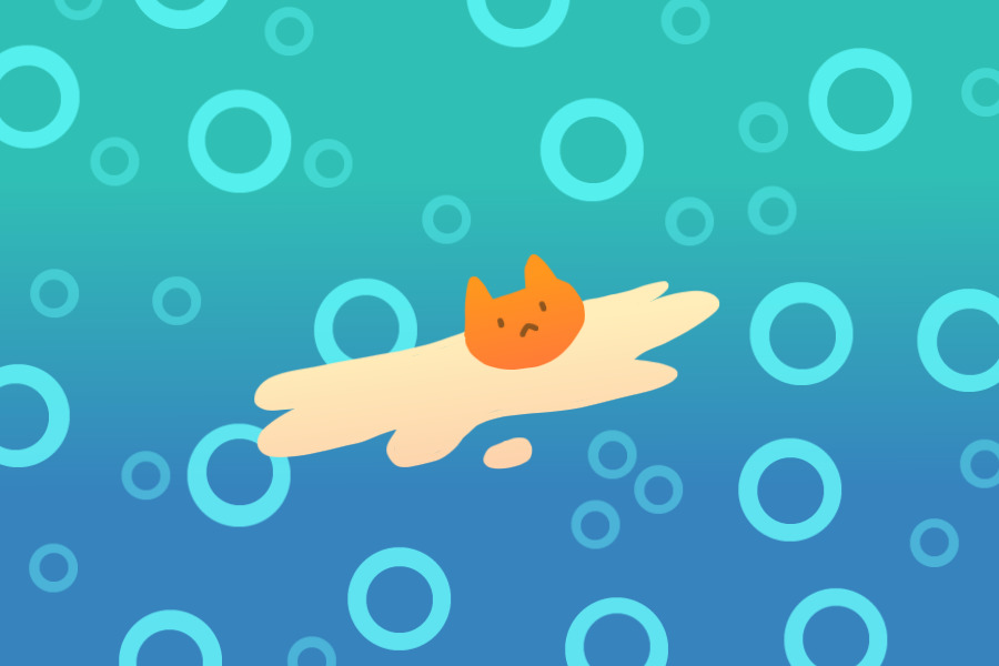 egg cat in the water