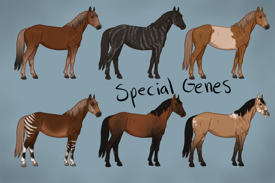 Special Genes
