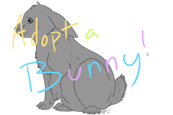 Adopt a Bunny for Easter!