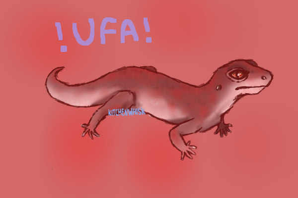 Gecko UFA - the red sun