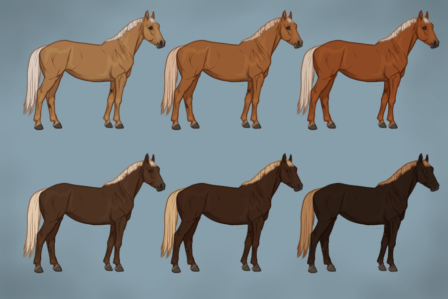 Equine Coat Guide - Flaxen