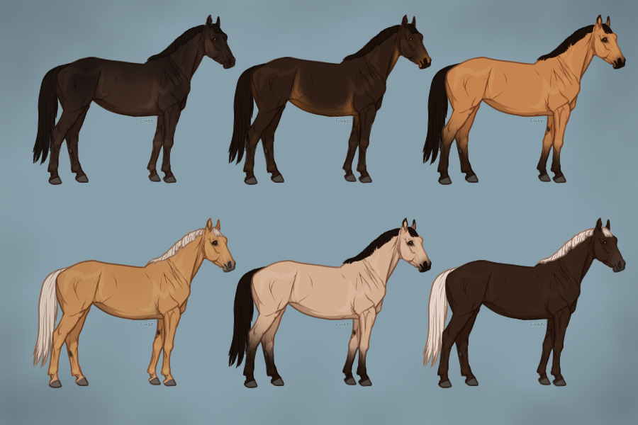 Equine Coat Guide - Single Cream