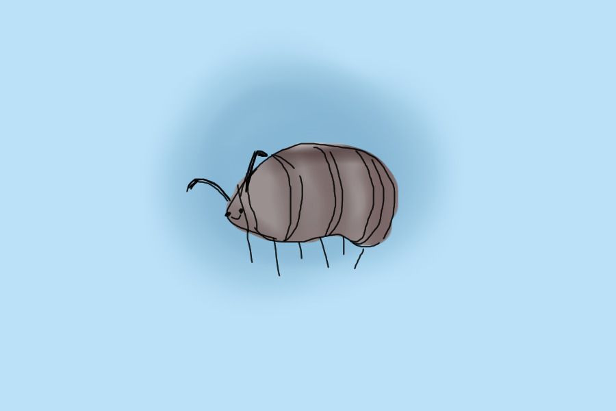 quick roly poly