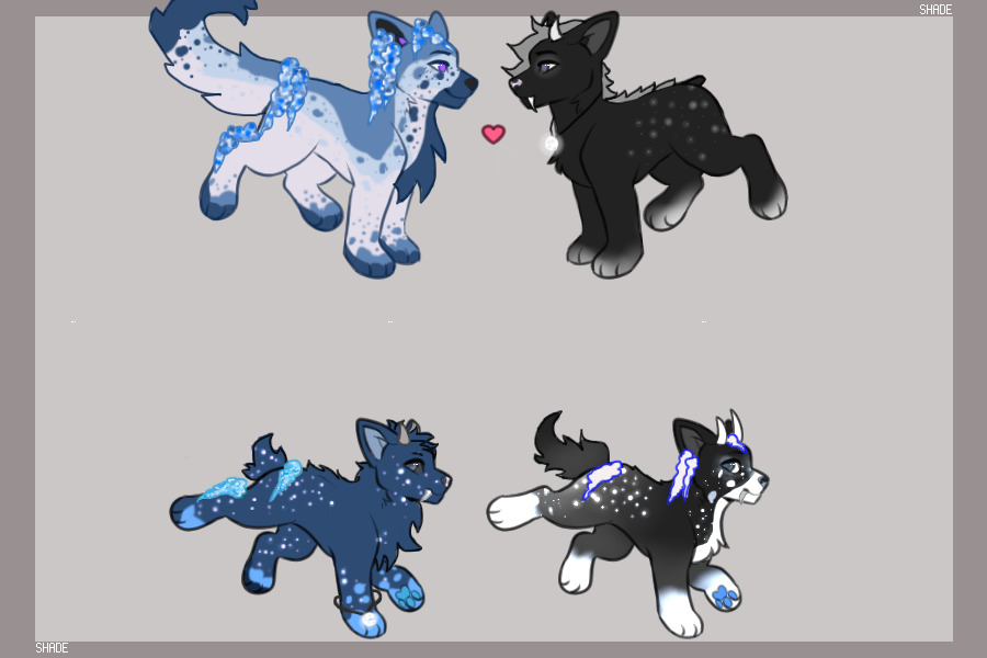 Moonlight x Blau pups! (Gen 2)