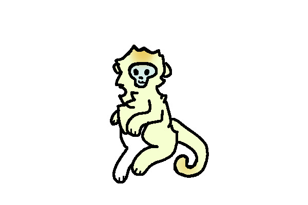 gold snubnosed monkey baby