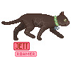 Jett's Icon