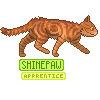 Shinepaw's Icon