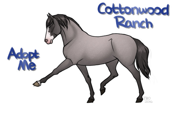 CWHR: Blue Roan