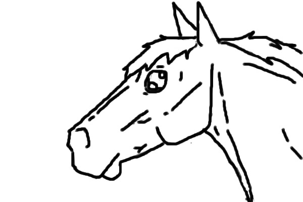 simple horse head