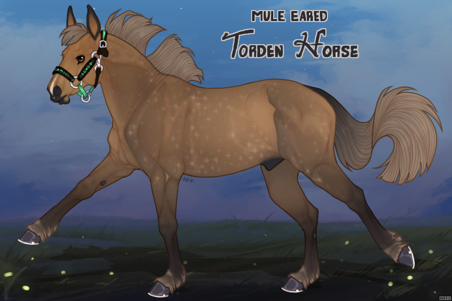 Mule-Eared Torden Horse