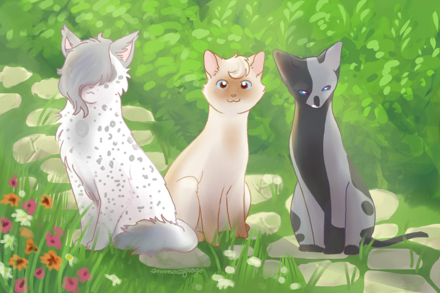 meadow kitties