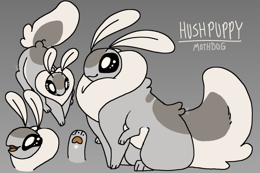 Hushpuppy the Mothdog