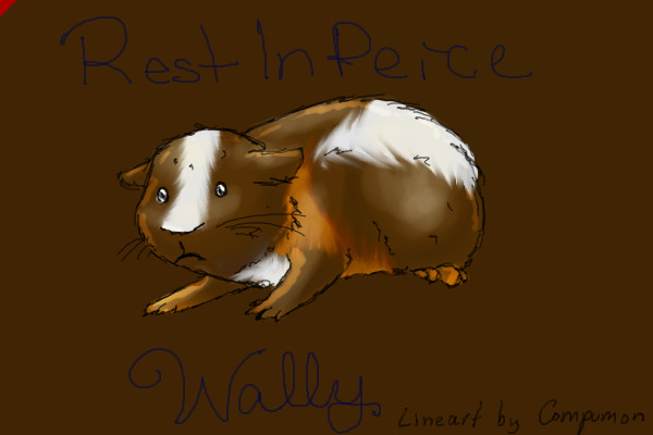 My First Guinea Pig Wally