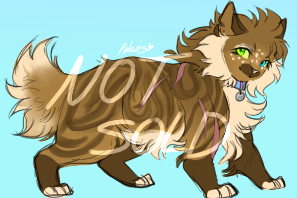 kibby adopt (closed)