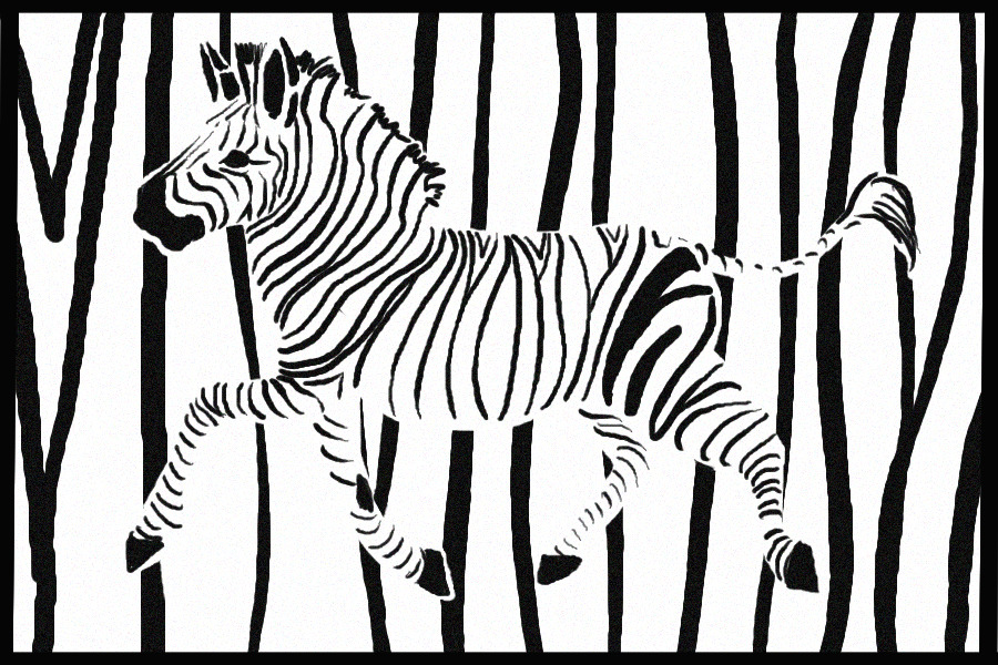 Happy National Zebra Day