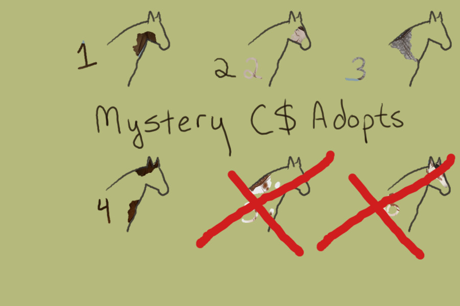 Mystery C$ adopts