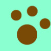 Paw with mint background