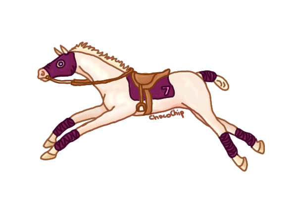 simple racehorse adopt