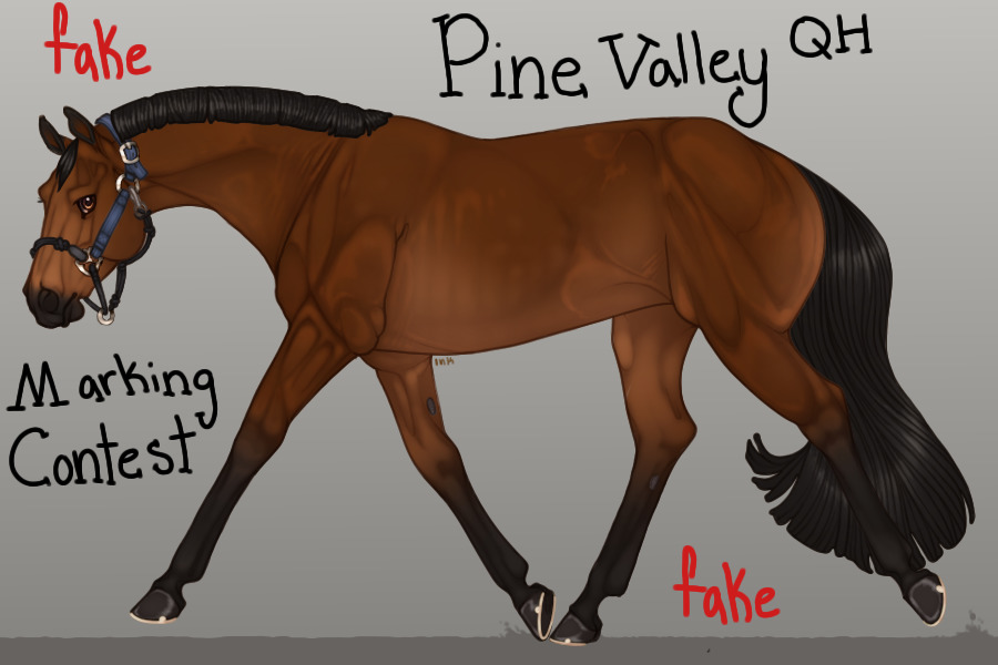 Pine Valley - Marking Competition